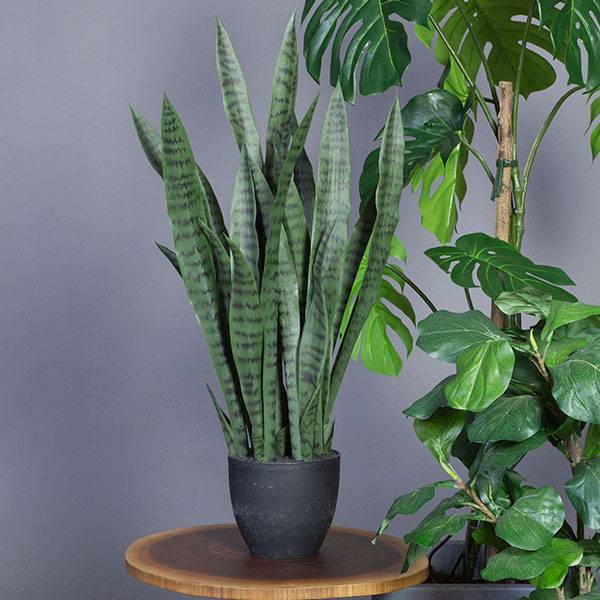 Naturtro kunstig plante Svigermors skarpe tunge 90cm høj