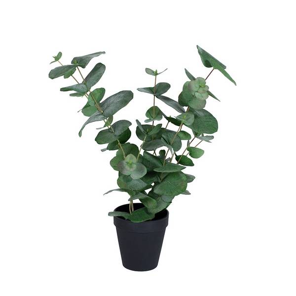 Naturtro kunstig plante Eucalyptus med potte, 50cm h&oslash;j 