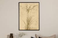 Plakat Plant Art 50x70cm beige