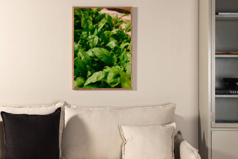Plakat Green Leaf 30x40cm gr&oslash;n