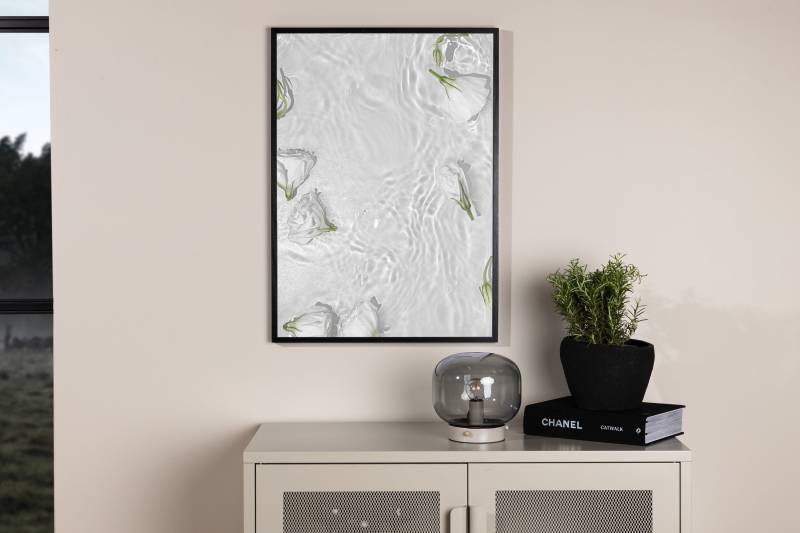 Plakat White Roses 70x100cm hvid