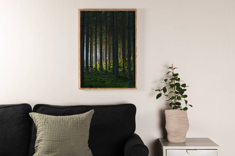 Plakat Woods 21x30cm med dybgr&oslash;n skov motiv