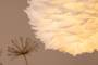 4159802c-4277-11ee-949a-ef6d17530c6f